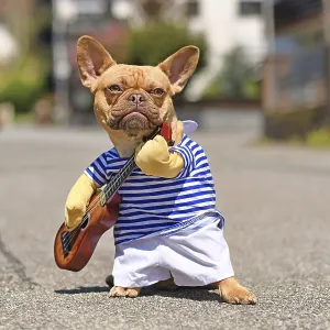 French Bulldog dog dressed up with street perfomer musician costume wearing striped shirt French Bulldog dog dressed up with street perfomer musician costume wearing striped shirt