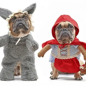 French Bulldogs dressed up as fairytale characters Little Red Riding Hood