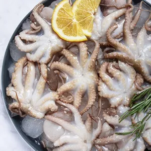 Fresh baby octopuses on ice, garnished with lemon and rosemary