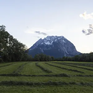 Freshly mown grass, behind the Grimming Freshly mown grass, behind the Grimming