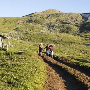 Friends taking an excursion on a mountain Friends taking an excursion on a mountain
