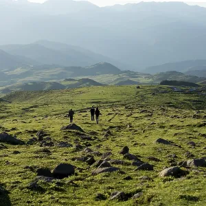 Friends taking an excursion on a mountain Friends taking an excursion on a mountain