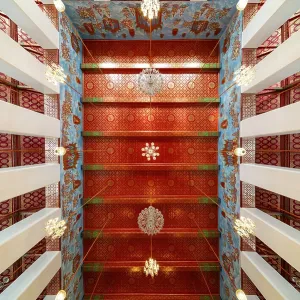 Frog's-eye view