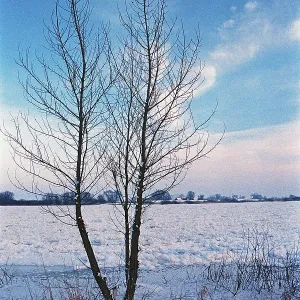 Frozen Elbe, Bleckede, Lower Saxony