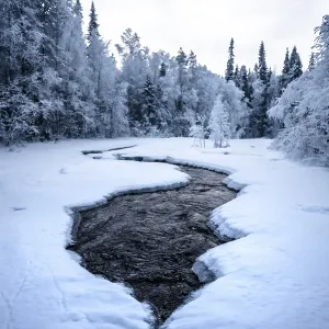 Frozen river flows through a snowy forest landscape under cloudy skies