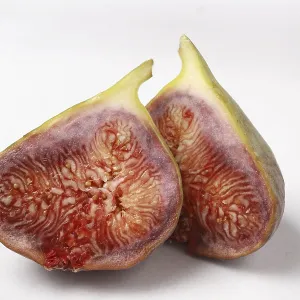 Fruit, one Fig Ficus Carica Anjir cut in to two pieces on white background