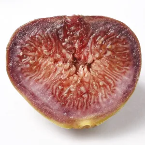 Fruit, Fig Ficus Carica Anjir half cut with red juicy texture on white background