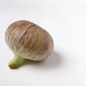 Fruit, Fig Ficus Carica Anjir on white background