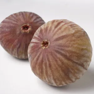 Fruit, Figs Ficus Carica Anjir on white background