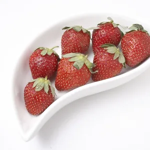 Fruit, Strawberry Fragaria Ananassa kept ins shaped serving tray on white background
