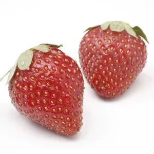 Fruit, Strawberry Fragaria Ananassa on white background