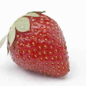 Fruit, Strawberry Fragaria Ananassa on white background