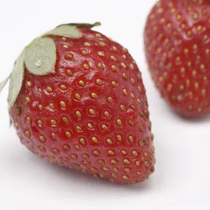 Fruit, Strawberry Fragaria Ananassa on white background