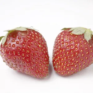 Fruit, Strawberry Fragaria Ananassa on white background