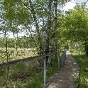 Fuerstenkuhle nature conservation and FFH area Fuerstenkuhle nature conservation and FFH area