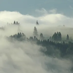 Foggy Appenzeller Land Mountain Print, Switzerland