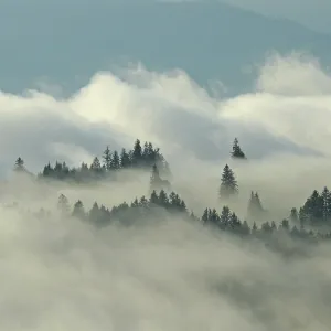 Foggy Mountain Landscape Print, Appenzell Alps