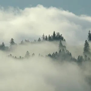 Foggy Morning in Appenzeller Land Print