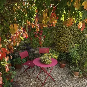 Garden arbour with garden table and chairs with autumnal vine leaves