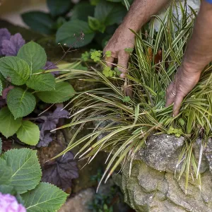 Garden care tips for beginners enhancing your home with simple landscaping ideas to create a beautiful garden with some Garden care tips for beginners enhancing your home with simple landscaping ideas to create a beautiful garden with some