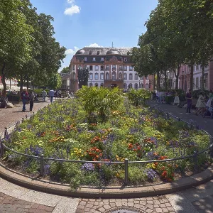 Gardens, flower beds, trees, general architecture Gardens, flower beds, trees, general architecture