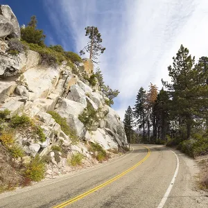 Generals Hwy thru Sequoia National Park in California