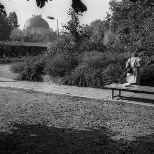 Germany, Berlin, 26.09.1992, autumn in Monbijou Park