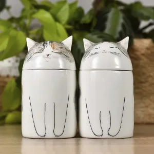 Germany, October 2023: Two custom made cat pet urns on table
