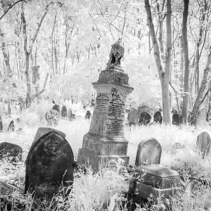 Highgate Cemetery London Black and White Print