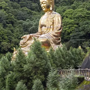 Giant copper buddha statue, shot at Jeng De temple