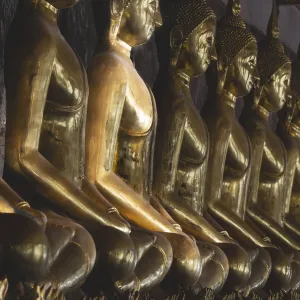 Gilded Buddha statues (Bhumispara mudra: Buddha Gautama at the moment of enlightenment) Gilded Buddha statues (Bhumispara mudra: Buddha Gautama at the moment of enlightenment)