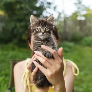 Girl holding a fluffy kitten in front of their face