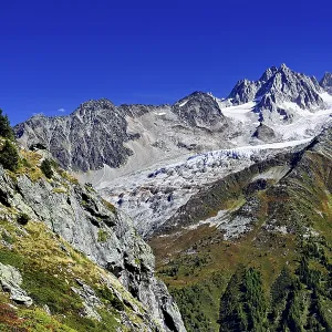 Glacier du Tour behind Aiguilles du Tour