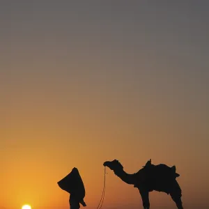 Glorious sunrise man with camel on sand dunes