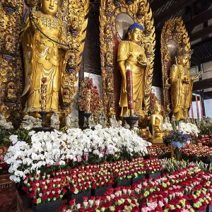 Golden Buddha House of Prayer, Longhua Temple Golden Buddha House of Prayer, Longhua Temple