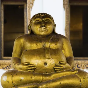 Golden Buddha statue, Wat Pho (Temple of the Reclining Buddha) Golden Buddha statue, Wat Pho (Temple of the Reclining Buddha)