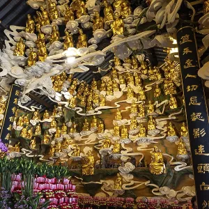 Many golden Buddha statues, House of Prayer Many golden Buddha statues, House of Prayer