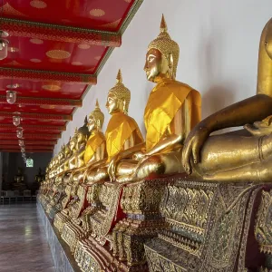 Many Golden Buddha Statues in Wat Po Temple Print