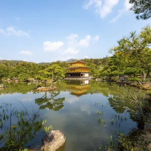 Golden Pavilion reflected in pond