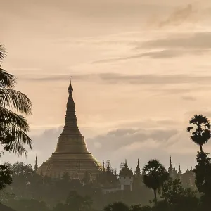 Golden stupa at sunset, chedi, Shwedagon Pagoda