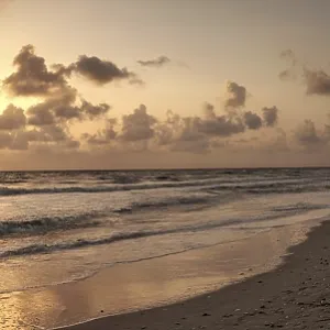Golden Sunset Print: Clam Pass Beach, Naples, Florida Golden Sunset Print: Clam Pass Beach, Naples, Florida