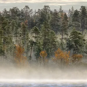 Gorgeous landscape. Charming magnetic river fog in early morning of autumn day Gorgeous landscape. Charming magnetic river fog in early morning of autumn day