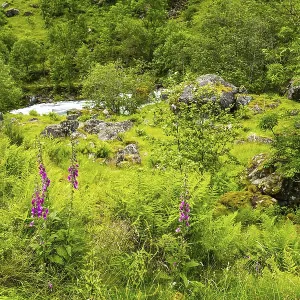 Gorgeous mountainous Norway. Journey to the fabulous northern country in the middle of summer Gorgeous mountainous Norway. Journey to the fabulous northern country in the middle of summer