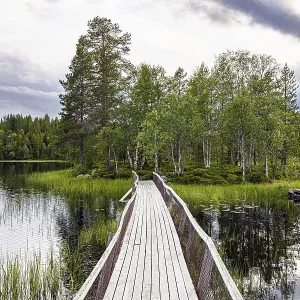 Gorgeous quiet lake and a small island in the middle