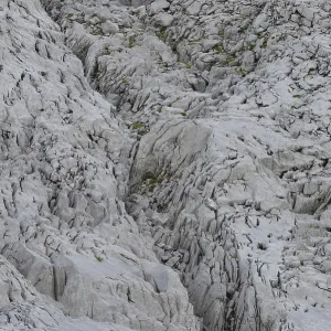 Gottesacker plateau, karst landscape Gottesacker plateau, karst landscape