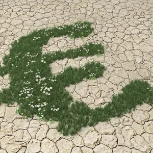 Grass growing in the form of a euro symbol on parched soil