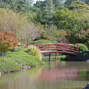 Great image of a beautiful japanese garden