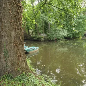 A green boat lies next to a tree by a quiet pond A green boat lies next to a tree by a quiet pond