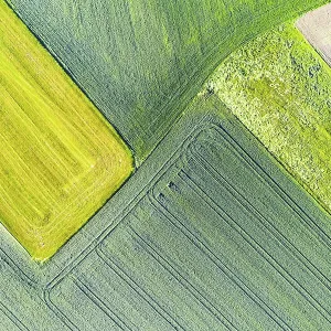 Green Fields Print: Huglfing, Upper Bavaria, Germany Green Fields Print: Huglfing, Upper Bavaria, Germany