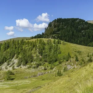 Green hills and forest under blue sky with few clouds